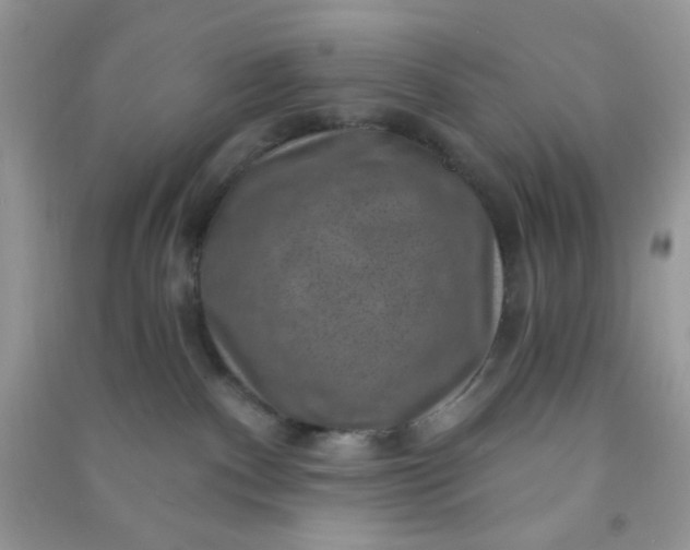 X0000091000140200708161946