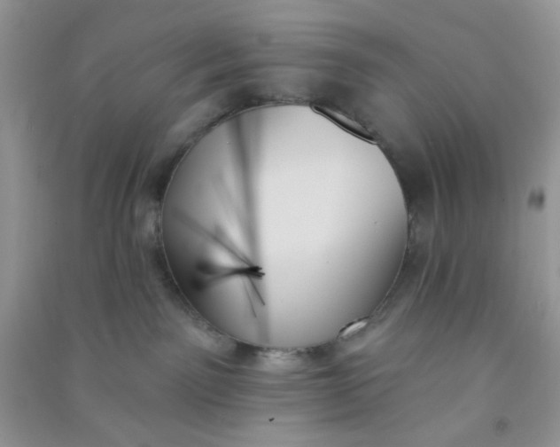 X0000091000141200708161946