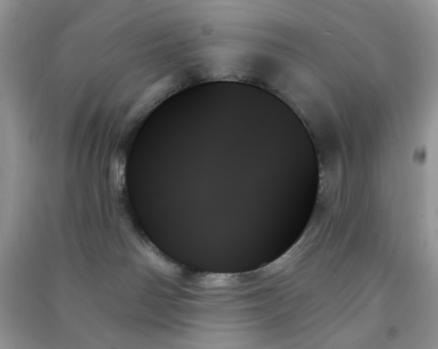 X0000091000142200708161946