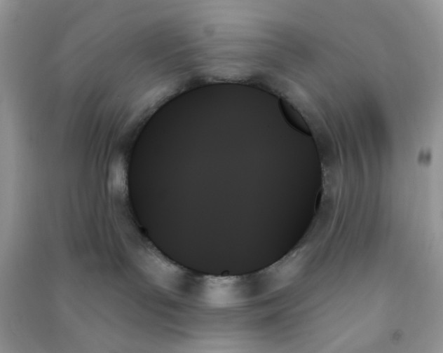 X0000091000143200708161946