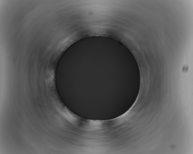 X0000091000144200708161946