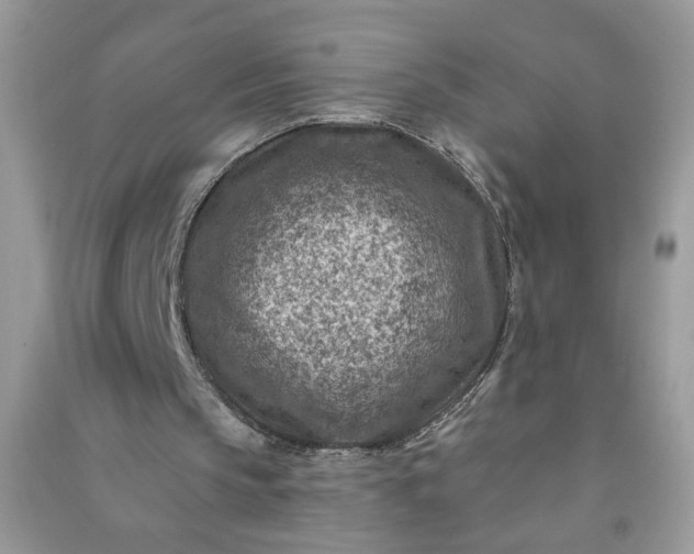 X0000091000145200708161945
