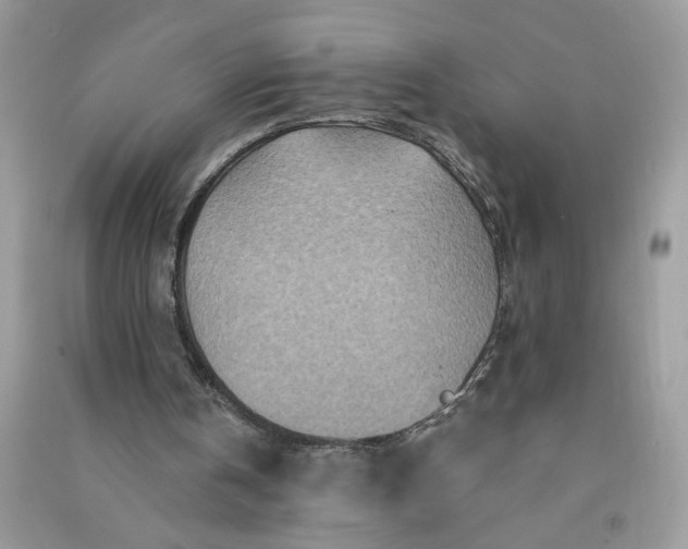 X0000091000146200708161945