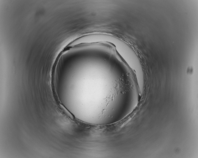 X0000091000148200708161945