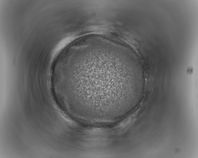 X0000091000149200708161945