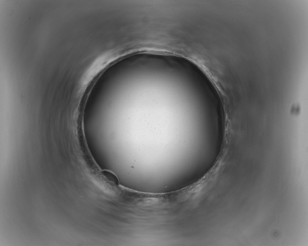 X0000091000151200708161945