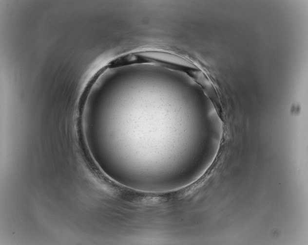X0000091000152200708161945