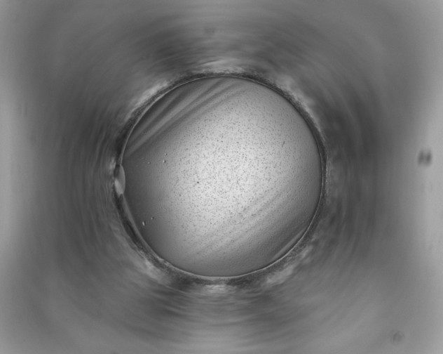 X0000091000153200708161945