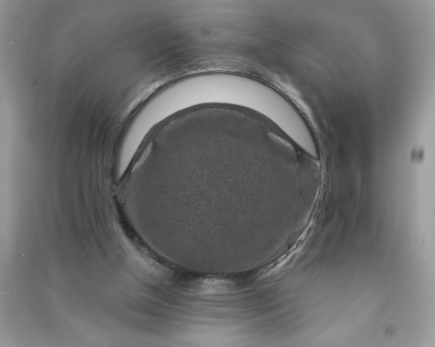 X0000091000154200708161945