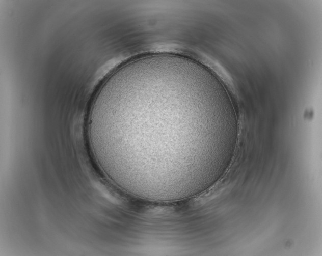 X0000091000155200708161945