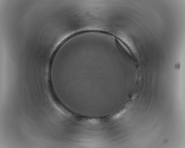 X0000091000156200708161945