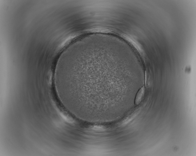 X0000091000157200708161945