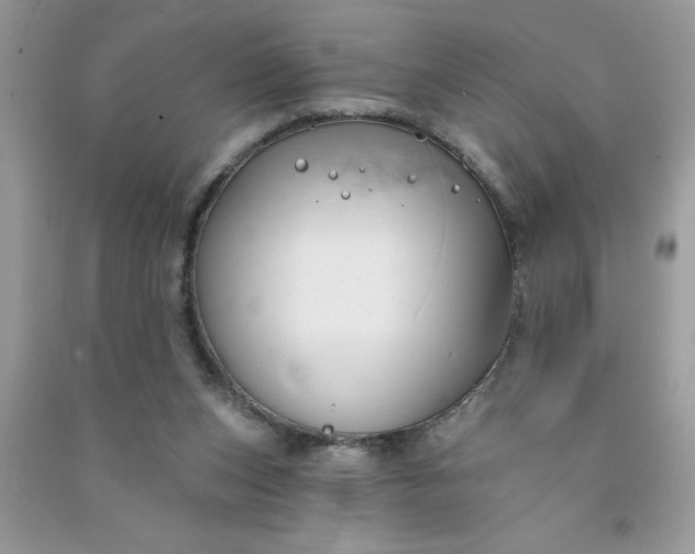 X0000091000159200708161945
