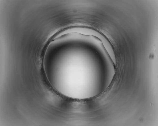 X0000091000160200708161945