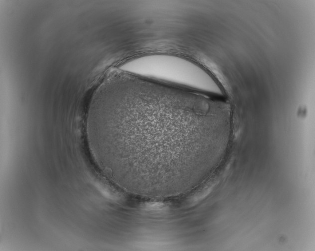 X0000091000161200708161945