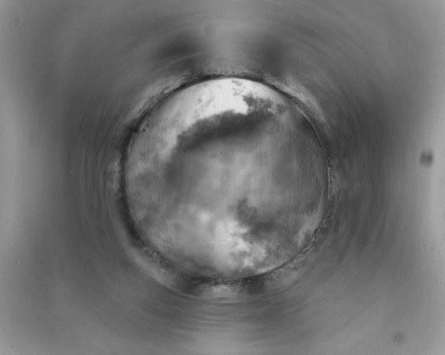 X0000091000163200708161945