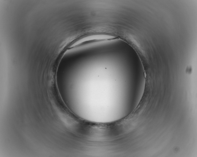 X0000091000164200708161945