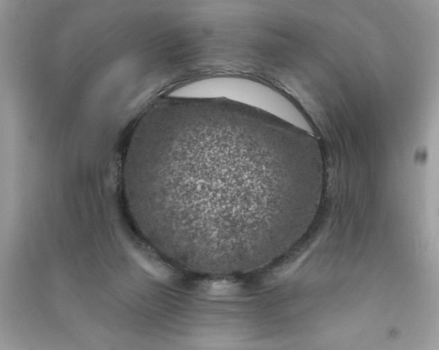 X0000091000165200708161945