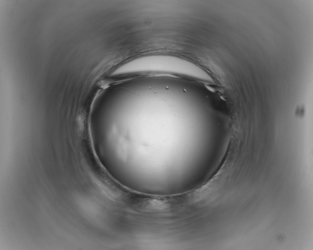 X0000091000166200708161945