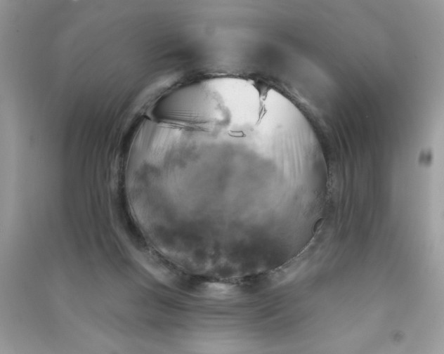 X0000091000167200708161945