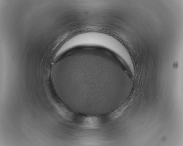 X0000091000168200708161945