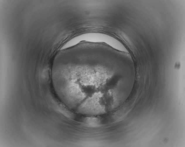 X0000091000169200708161945