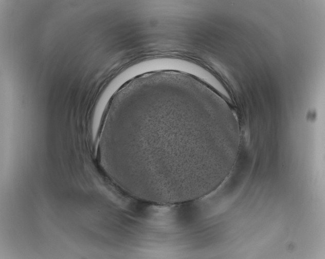 X0000091000170200708161945