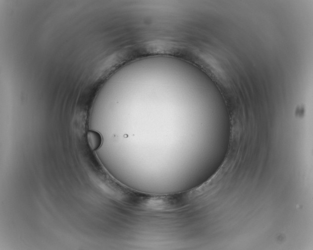 X0000091000171200708161945