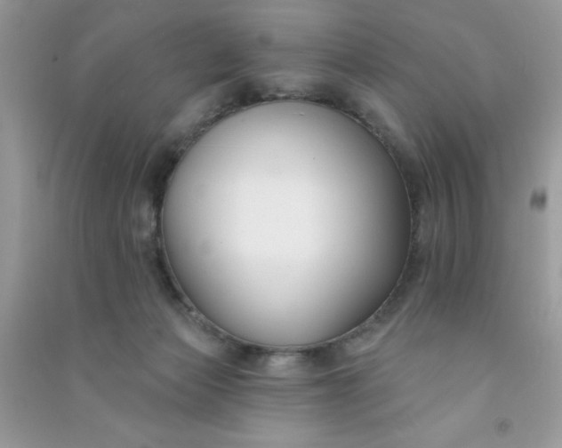 X0000091000173200708161945
