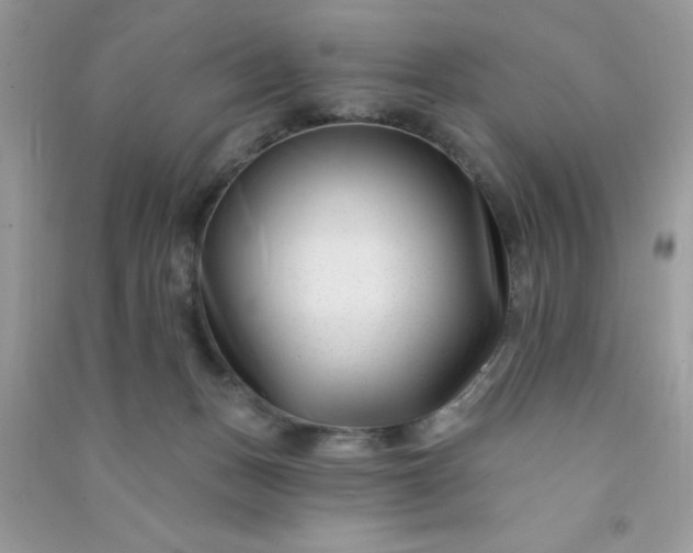 X0000091000175200708161945