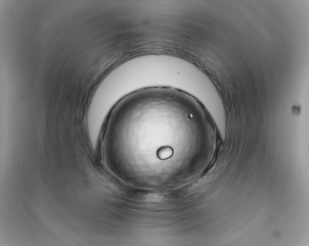 X0000091000176200708161946