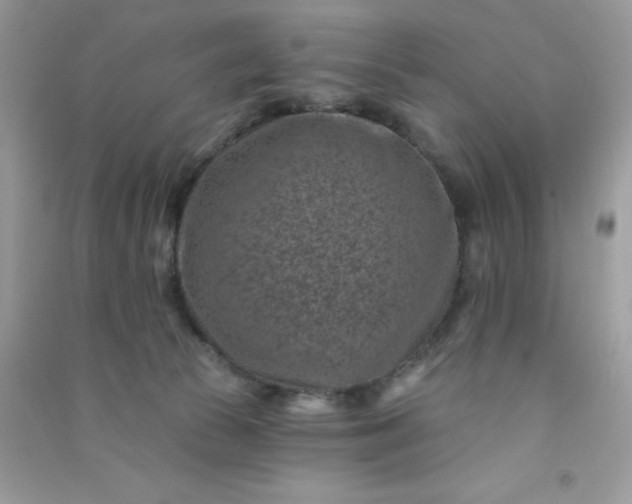 X0000091000177200708161946