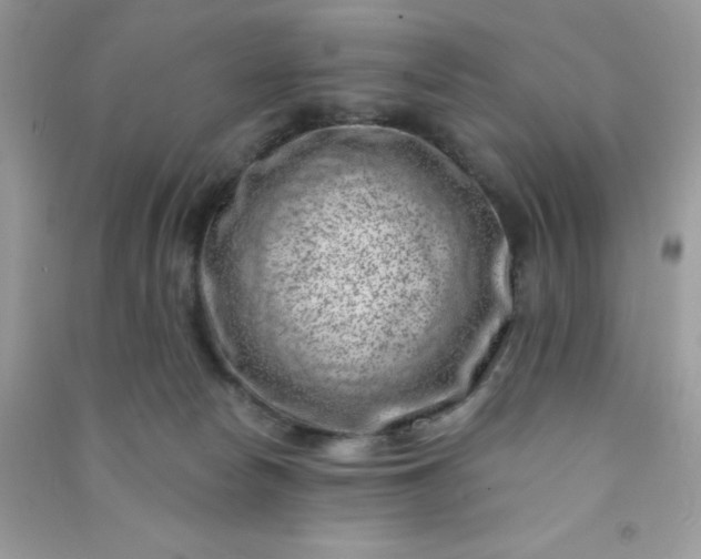 X0000091000178200708161946