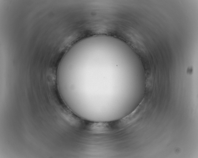 X0000091000179200708161946
