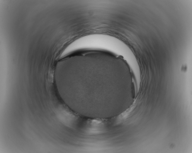 X0000091000180200708161946