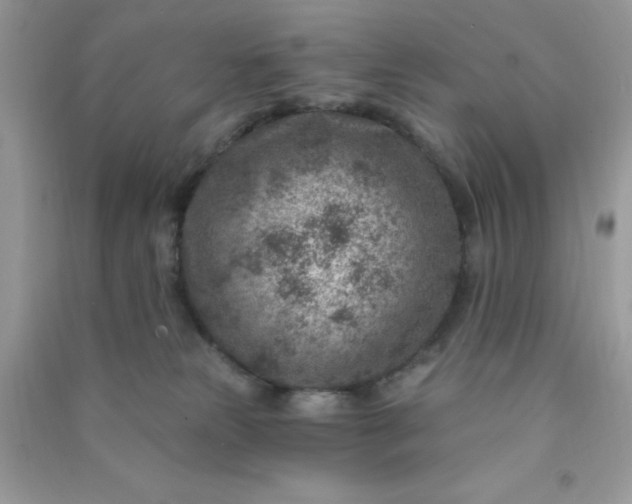 X0000091000181200708161946