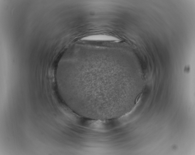 X0000091000182200708161946