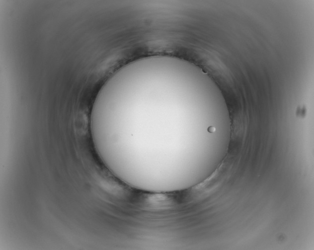 X0000091000183200708161946