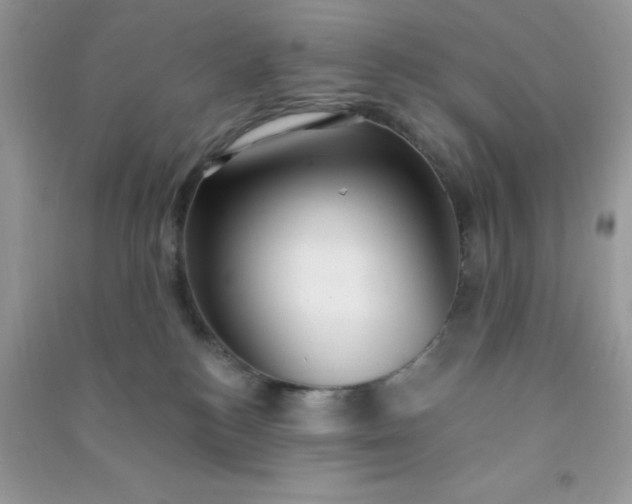 X0000091000184200708161946
