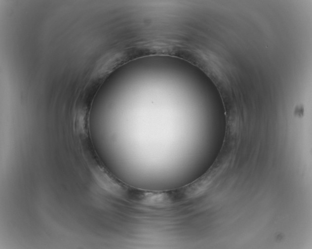 X0000091000185200708161946