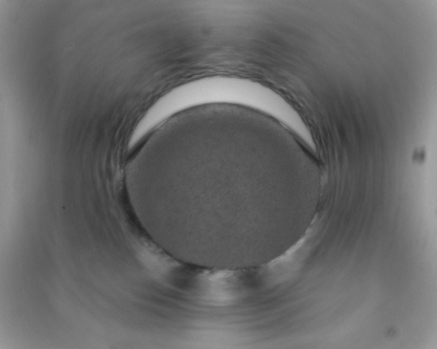 X0000091000186200708161946