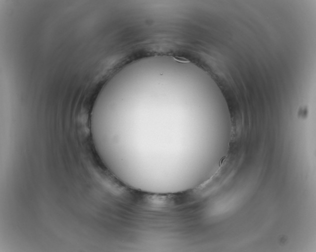 X0000091000187200708161946
