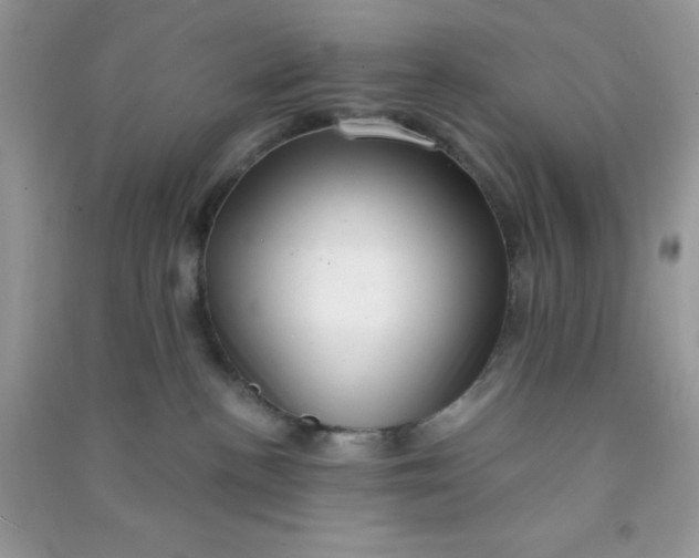 X0000091000188200708161946