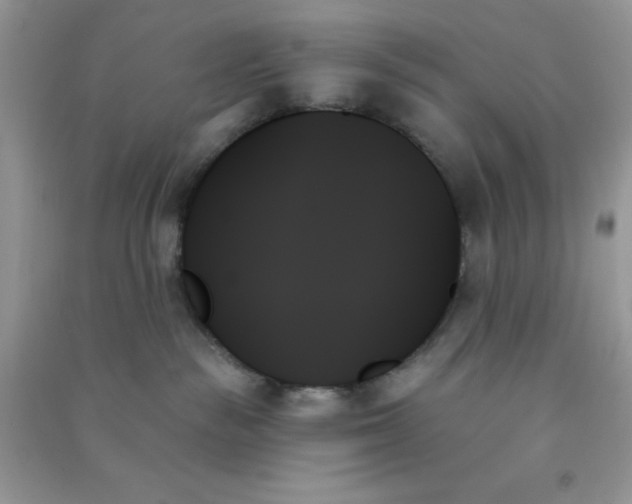 X0000091000189200708161946