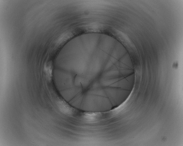 X0000091000190200708161946
