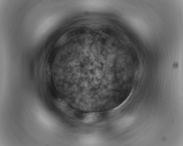 X0000091000191200708161946