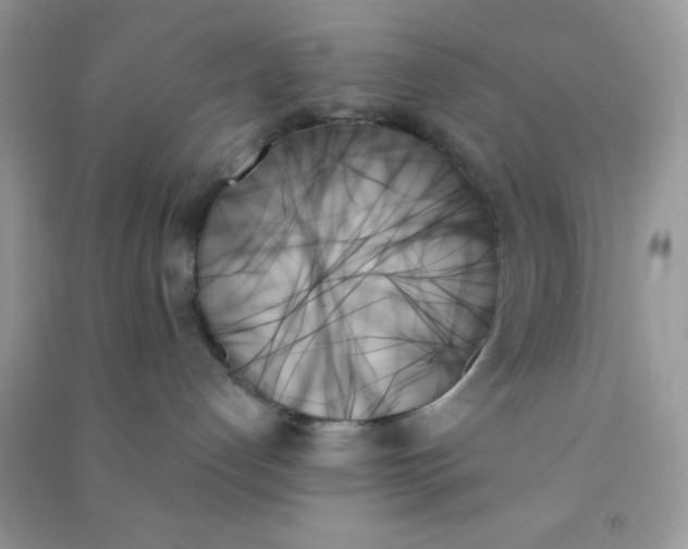 X0000091000192200708161946