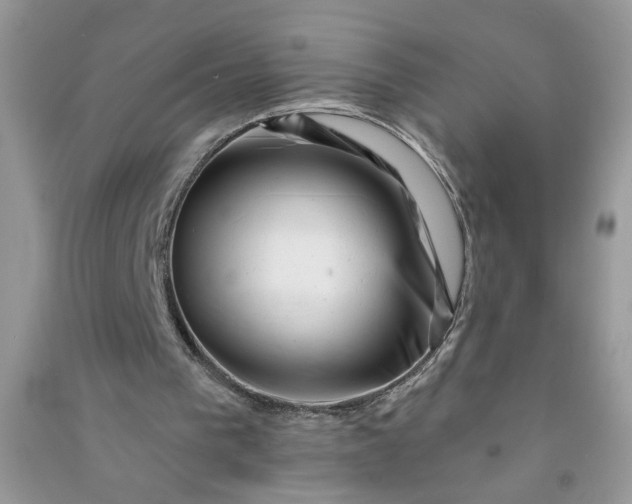 X0000091000193200708161945