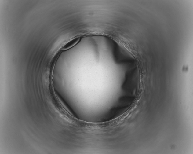 X0000091000194200708161945