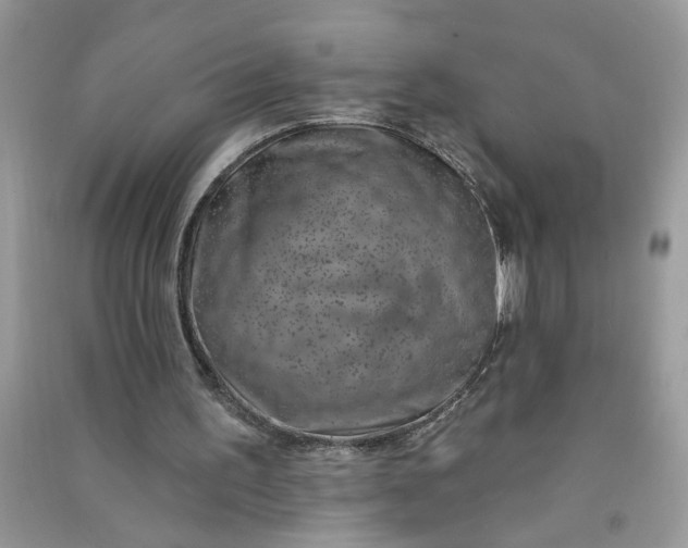 X0000091000195200708161945